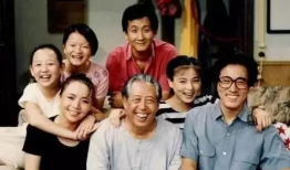 1996电视剧大全集,经典剧集回顾与盘点