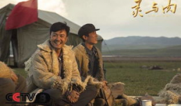 电视剧灵与肉,探寻人性深处的情感漩涡