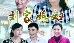 刘家媳妇电视剧,命运交织的家族传奇