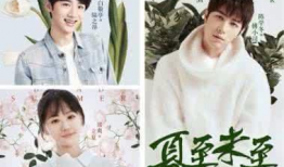 夏至未至电视剧,青春记忆中的阳光与梦想