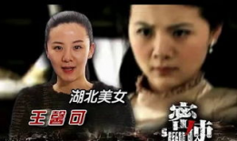 电视剧密使全集,潜伏风云下的生死较量