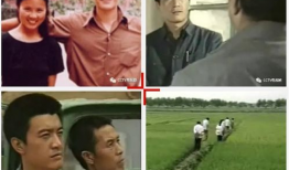 新星电视剧,揭秘娱乐圈的璀璨星途与暗流涌动