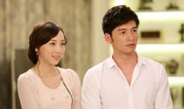 温升豪演过的电视剧,从深情王子到实力派演员的蜕变之路