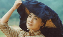 李媛媛主演的电视剧,情感纠葛与成长蜕变