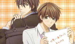 世界第一的初恋 漫画,揭秘世界第一的初恋的浪漫魅力