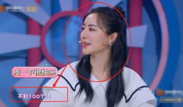 明星和网红哪个赚钱,揭秘谁才是真正的“吸金王”