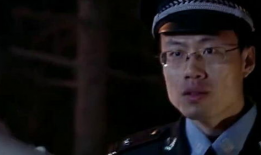 戈大洪是什么电视剧,揭秘传奇特工的生死较量