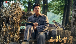 西北电视剧,穿越时空的传奇故事