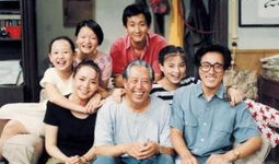 九十年代电视剧,九十年代电视剧经典回顾