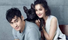 袁弘张歆艺合作电视剧,情感纠葛与成长之旅