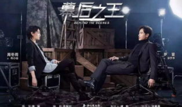 电视剧公司,揭秘电视剧公司的辉煌历程