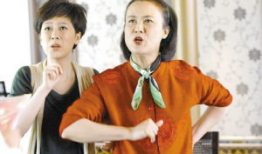 婆媳电视剧,爱恨交织的家庭风云