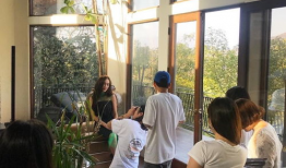 麻豆郑,时尚界的璀璨新星