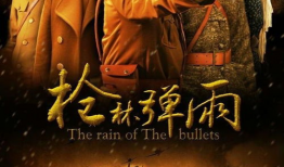 烽火英雄电视剧,抗战烽烟中的热血传奇