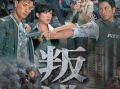香港警匪电视剧,香港警匪生死较量