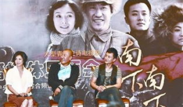 电视剧南下南下完整版,波澜壮阔的解放战争史诗