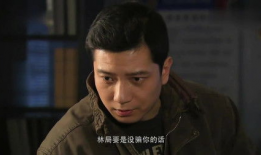 电视剧沉默,揭开历史尘埃，探寻真相的隐秘之旅