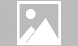 黑狐电视剧全集,谍影重重，暗战风云